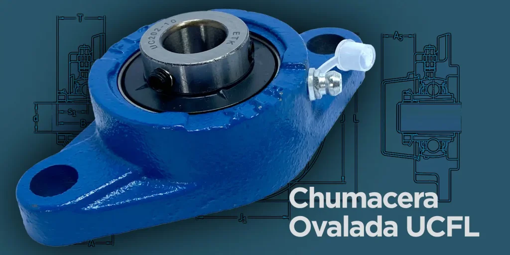 Chumacera Ovalada